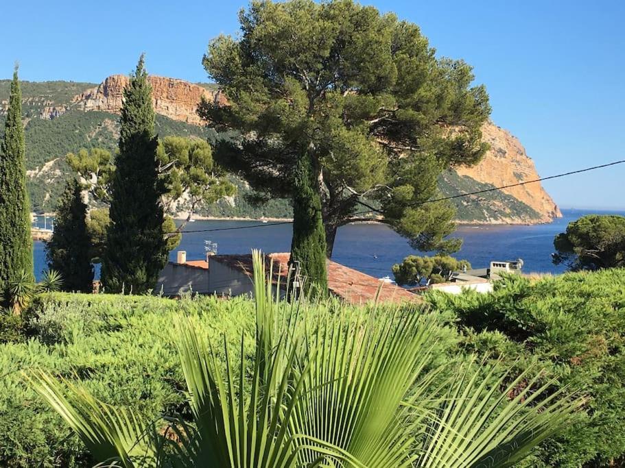 Cassis Calanques, 2 Pieces Grande Terrasse Vue Mer Экстерьер фото